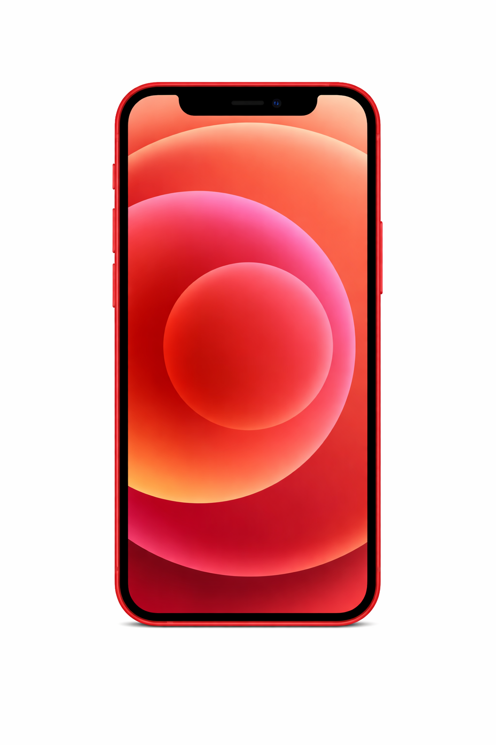 Reparação iPhone 12 Mini